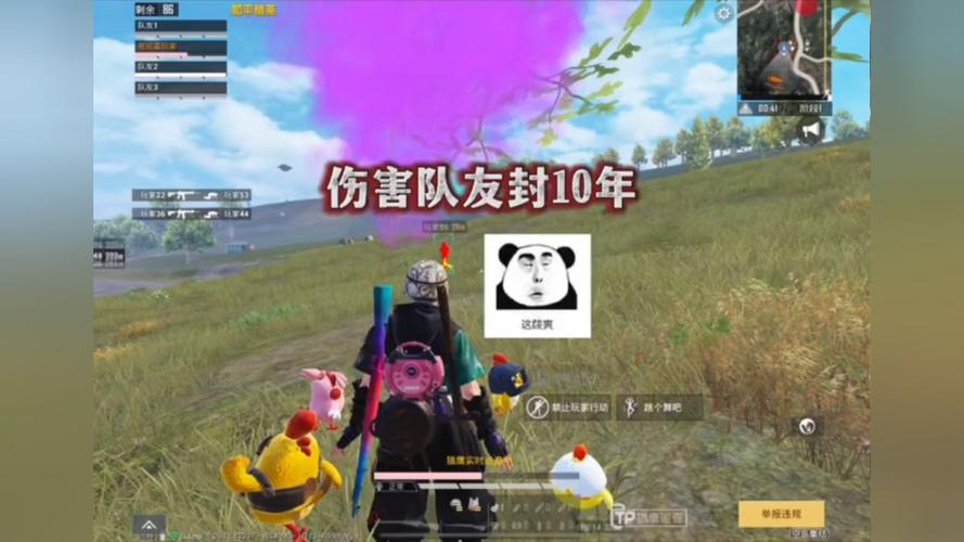 和平精英《向日葵》外挂